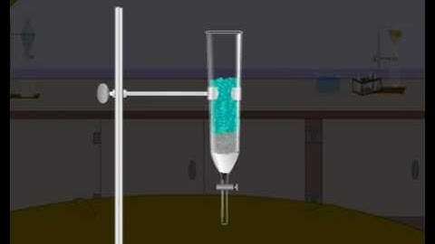 Column Chromatography Methods of Purification of Organic Compounds Class 11 Chemistry Part 2