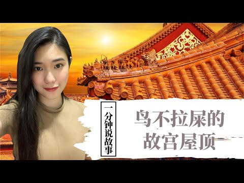 【1分钟说故事】鸟不拉屎的故宫屋顶 | 紫禁城的秘密 | Karen冯凯琳