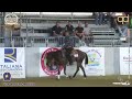 4 show aram 2023  fiorentino antonio  fd oak buena score 71