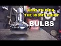 How To Choose The Right Light Bulbs For Your Bearded Dragons