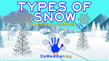 Sketchy Weather: TYPES OF SNOW! Did you know there are different types of snow? There are, but why?