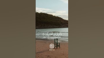 تلاوة رائعة احمد النفيس #اكسبلور #كروما_قرآن