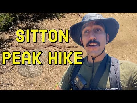 sitton-peak-hike-(turn-by-turn-directions-&-rattlesnake-encounter!!)