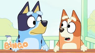 Bingo Gets a Silly Name Change 🤣 | Dad Teases Bluey and Bingo! | Bingo -  Channel