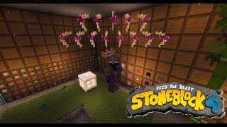 FTB Stone Block 4: Ep 7 (Creative Flight)