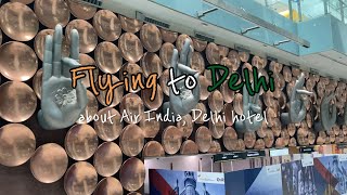 [KOR/ENG SUB] Record of Incheon to Delhi l 에어인디아, 델리 공항 내 호텔