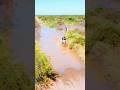 Cruzando charcos en la Corven TXR 250 y en la XR Tornado 250. San Rafael Mendoza Argentina