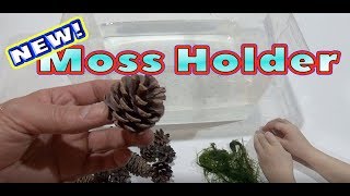 НОВЫЙ ЗАКРЕПИТЕЛЬ МХА - MOSS HOLDER НОВЫЙ ЗАКРЕПИТЕЛЬ МХА - MOSS HOLDER