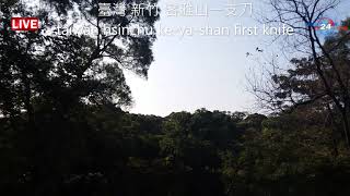 預約全年度&清明節掃墓服務