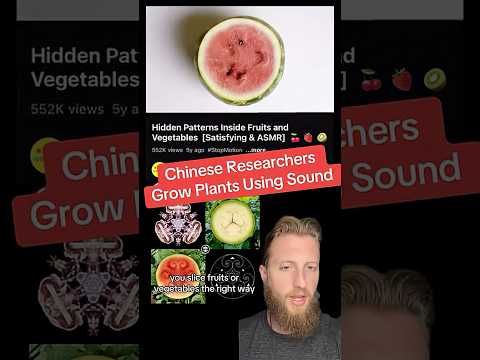 Chinese Researchers Grow Plants Using Sound