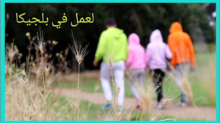 كيف ابحث عن عمل في بلجيكا