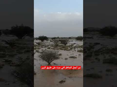 توثيق مشهد نادر لطريق الرين بيشة امطار ربيع السعوديه اكسبلور