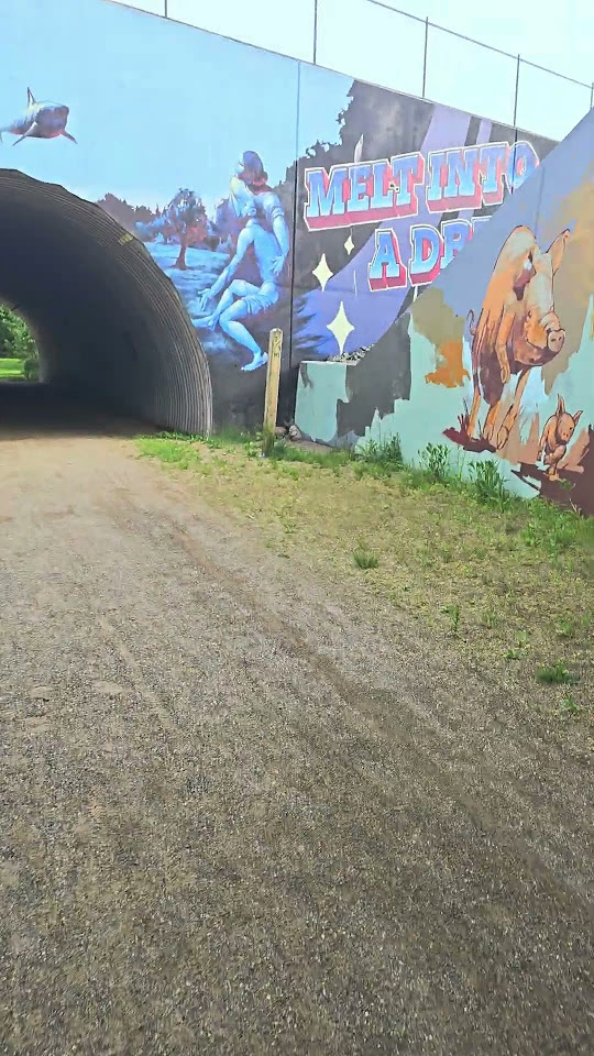 CT Rails to Trails 12 mile Sunday Long Run/ 80° YouTube
