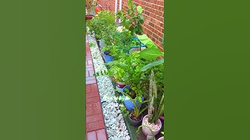 Cơn mưa cuối tuần #cuocsongdulichamthuc