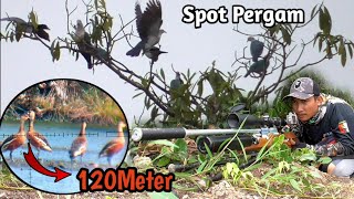 Download Lagu MENEMUKAN SPOT RIBUAN PERGAM//TUMBANGNYA BELIBIS DENGAN TIMAH NYASAR @Snipersrg MP3