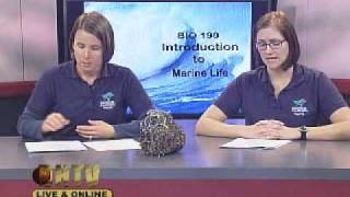 BIO190 Marine Life  Session Thirteen  12/08/09