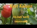 Kert Kalauz - 32.heti kerti tennivalók