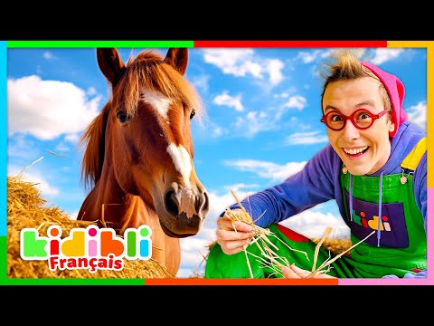 Découvrons le Monde des Chevaux | Vidéos Educatives pour Enfants | Kidibli