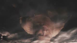 Set Mo - Let Yourself Go (Official Visualiser)