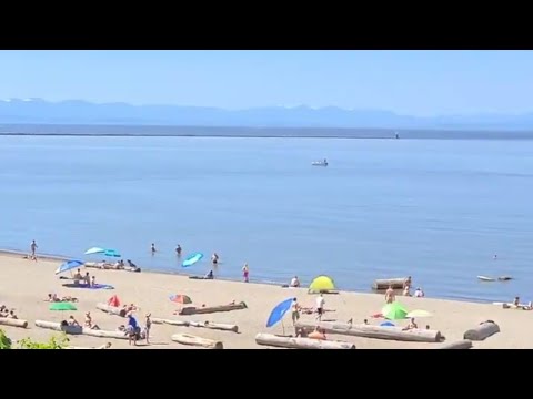 Nude Beach in Vancouver City | Wreck Beach - YouTube