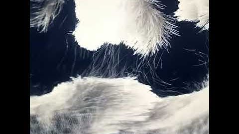 Generative Art white