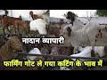 गोट खरीदने की मस्त ट्रिक अपनाई नये व्यापारी ने | dayma goat farm | ajmer bakra mandi