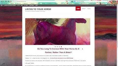 How To Add Social Media Icons to Homepage (Wordpress)