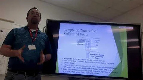 A&P Lymphatic Pathways