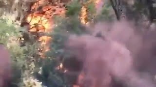 Alevlerin İçinde kalan Küşların yardım çığlığ  sesleri gökyüzünü  inletdi😭😭😭😭
