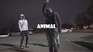 Stunna 4 Vegas ft DaBaby - Animal (The Woah Dance Video)