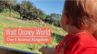 Walt Disney World Day 5 | Animal Kingdom | Pandora, Africa + Festival of the Lion King