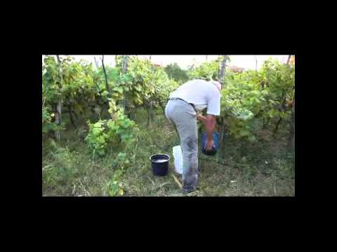 გამოწვევა