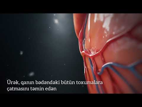 #Ürək və onun quruluşu. 3d  anatomy video