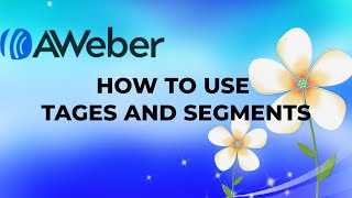 How to Use Tags and Segment in Aweber
