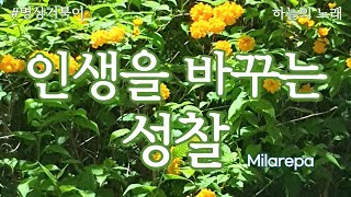 마음수행하여 무지에서 벗어나야 한다! | 수행 | 깨달음 | 인생조언 | 삶의 지혜 | 좋은 글 | 추천도서 #마음공부 #오디오북 #명상거북이