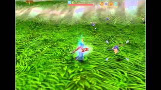 Flyff - Asal in Slow Motion (i was bored) :D