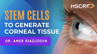 Stem Cell Technology Generates Corneal Tissue  Dr. Riazuddin | Maryland Stem Cell Research Fund