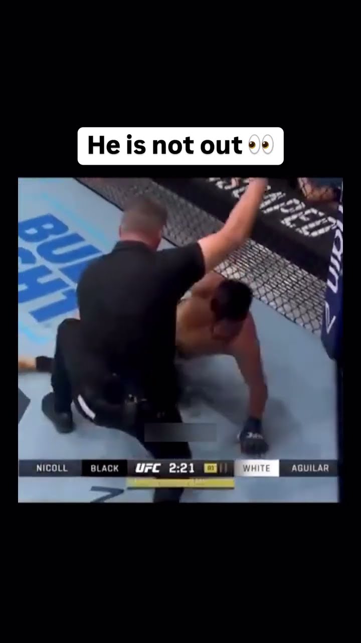 ? Via - @ufc #ufc #mma #knockout