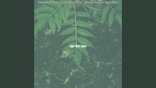 Modish Music for Pranayama