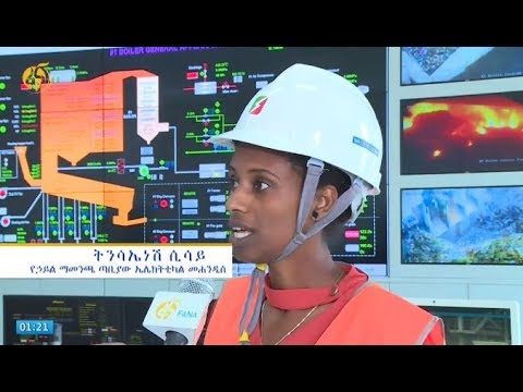 ቪዲዮ: ራስን የማጥራት ድመት ቆሻሻ ሣጥኖች - አውቶማቲክ የቆሻሻ መጣያ ሳጥኖች እንዴት እንደሚሠሩ