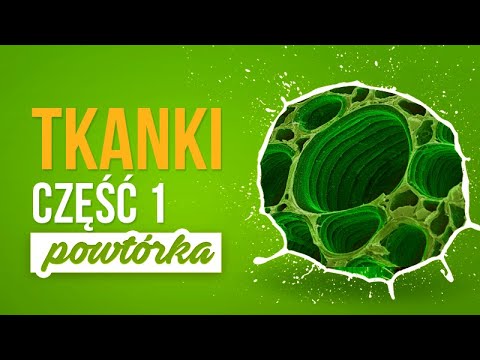 TKANKI cz. 1 - Powtórka z biologii