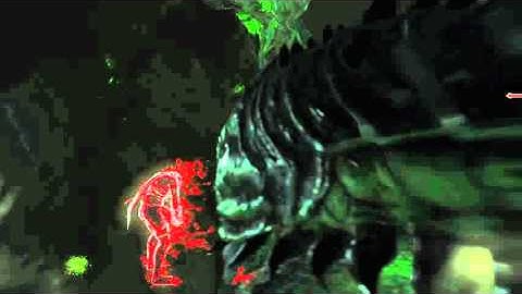 Giant Worm Spawn Kills Invader - Dark Souls 2 PS4