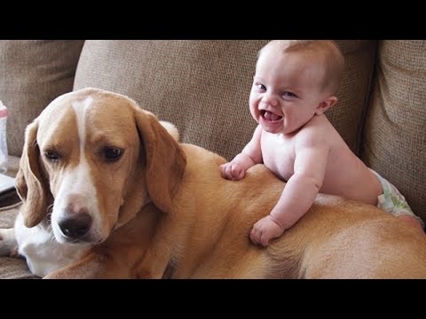 Image of funny baby with dog