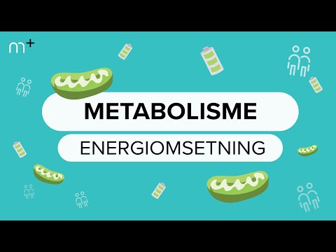 Metabolisme (energiomsetning)