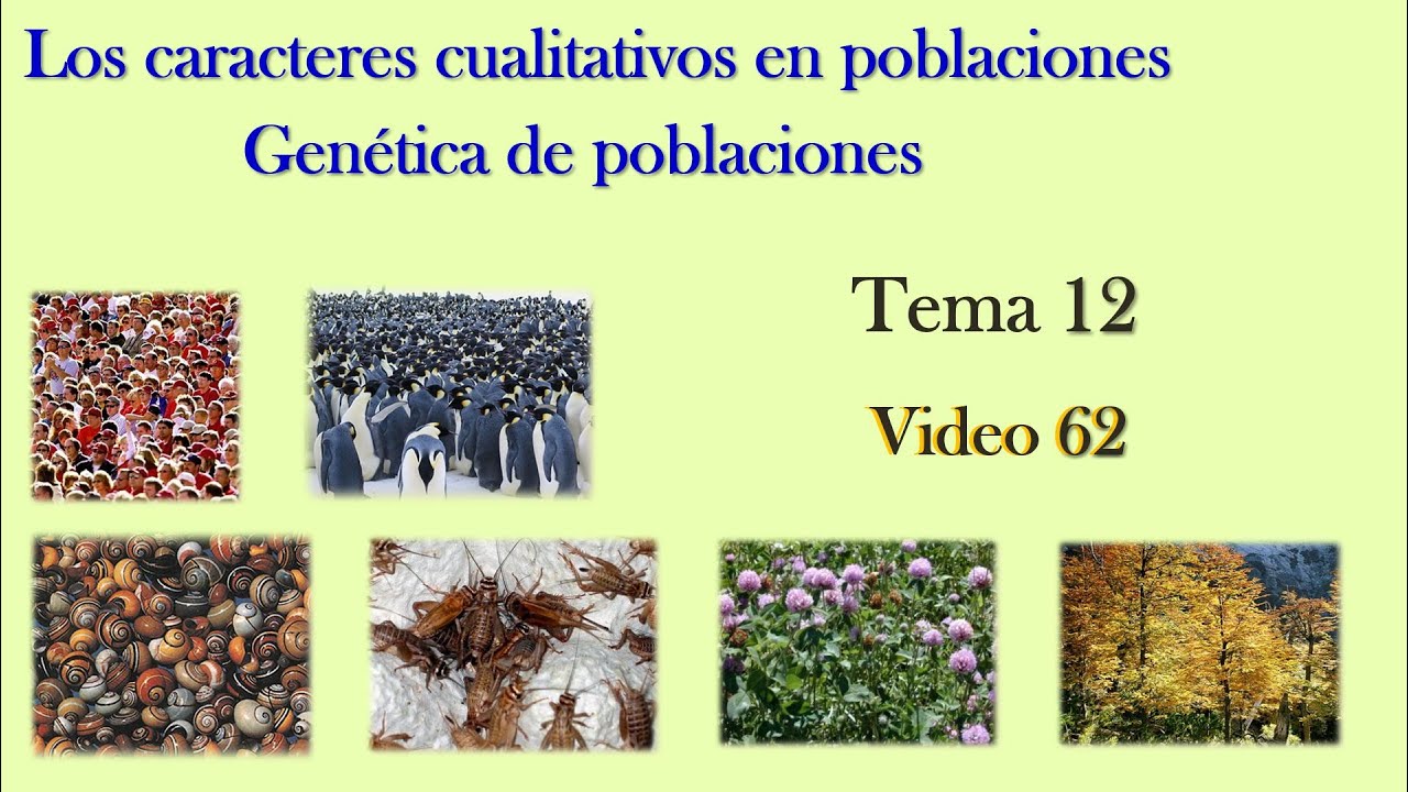 65 Tema 12 Caracteres Cualitativos en Poblaciones. Genética (Cód. 2030)