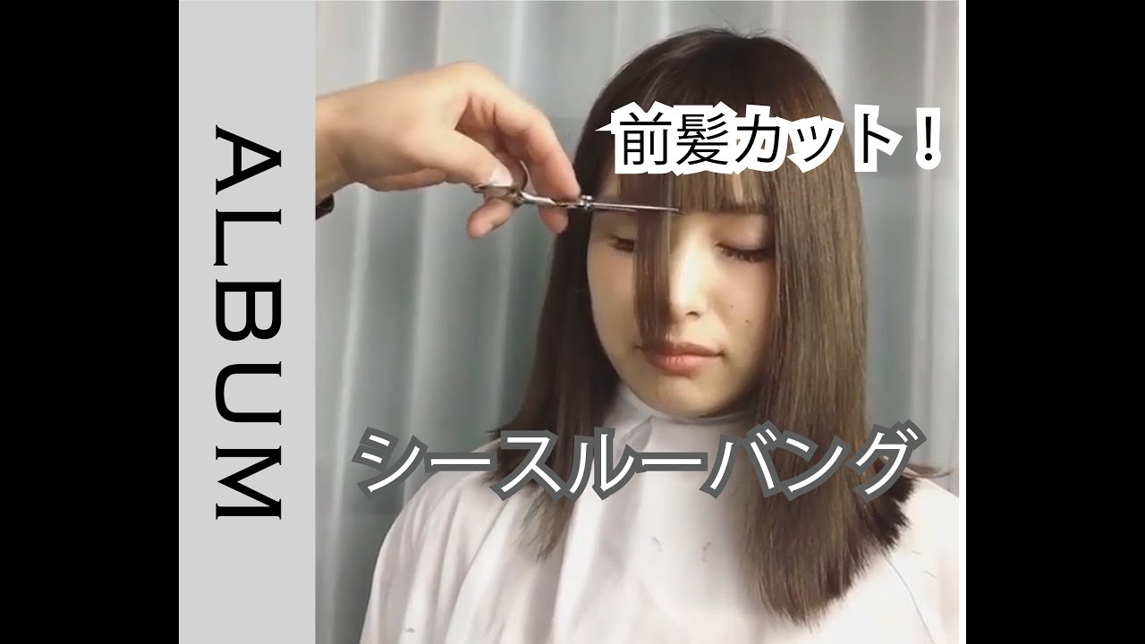 シースルーバングカット ぱっつん前髪にウェット感をプラス 前髪カット カット動画 머리 头发 ผม ヘアカット Album Youtube