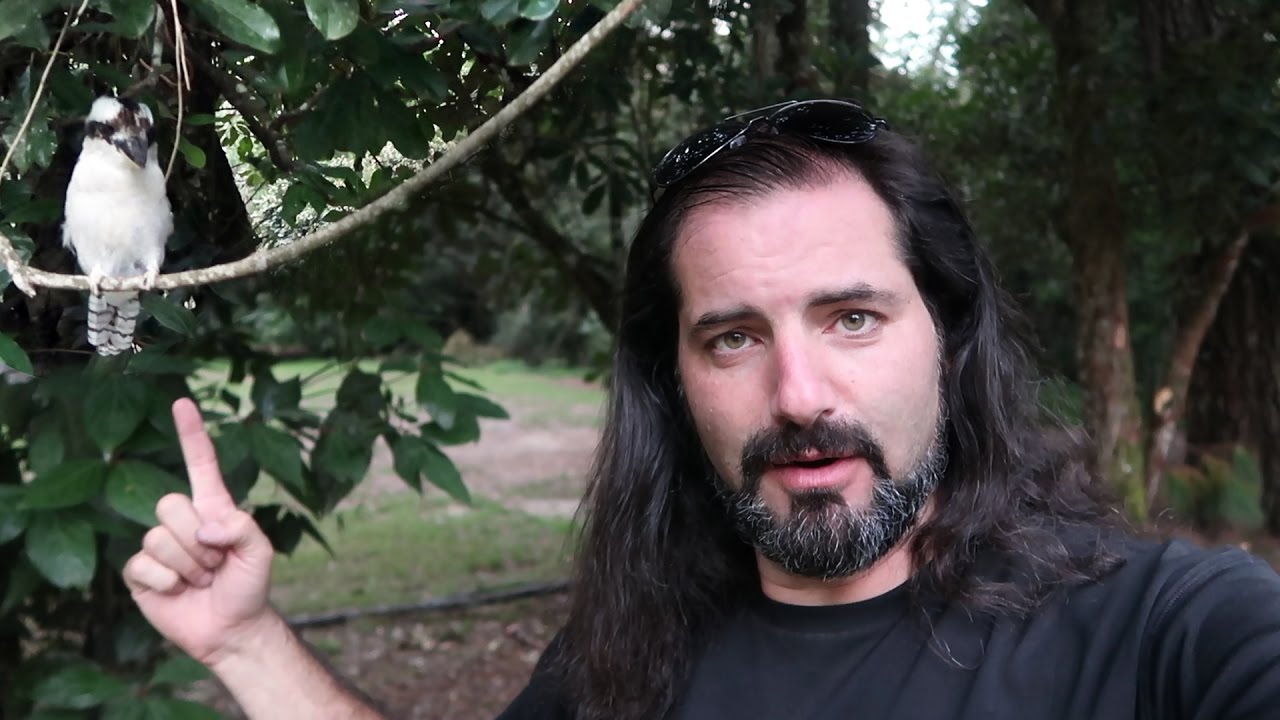 adventures of aladdin A KOOKABURRA BIT MY WIENER! ADVENTURES IN AUSTRALIA, Day 12 - Dāv Kaufman