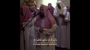 القارئ د.محمد اللحيدان تلاوة من مشعر منى #ارح_سمعك🤍🌿