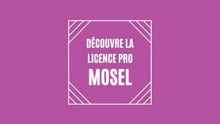 [ENTRETIEN] Découvre la Licence Pro MOSEL avec Stéphane Laurent !