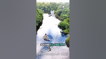 The Biggest Forest in the World: Facts You Didn’t Know#amazon #forest #facts #trending#world #shorts